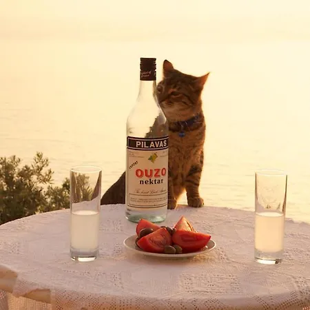 Gasthof Roi Boutique Asos