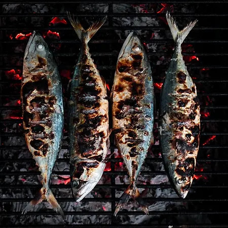 Roi Boutique Gasthof Asos