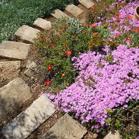 Roi Boutique 4* Asos