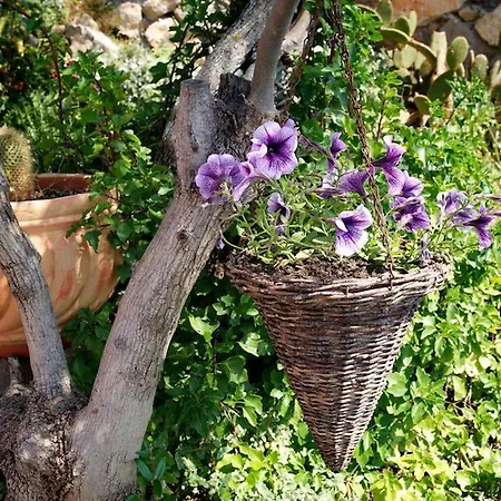 Maison d'hôtes Roi Boutique Asos